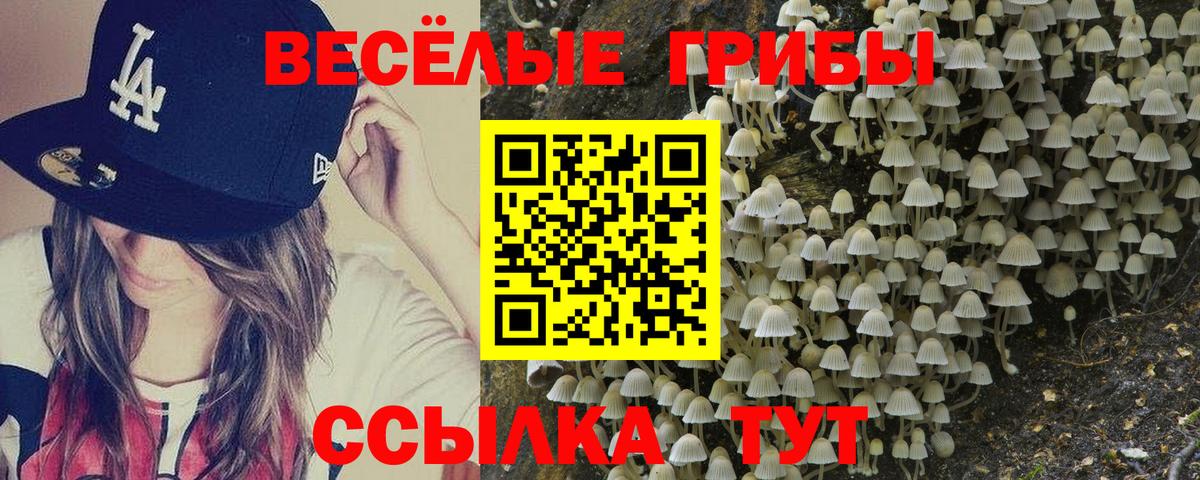 Псилоцибиновые грибы Magic Shrooms  Вход с VPN  Свободный 