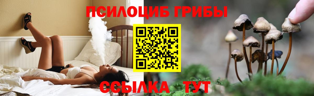 Псилоцибиновые грибы мицелий Свободный